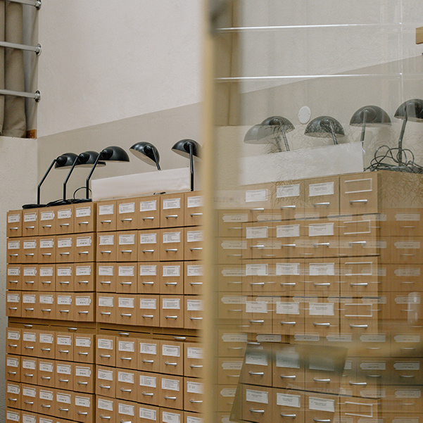 X�иɲ����µ����ⷿ����